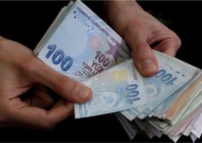 Минфин Турции: Уровень инфляции в стране к концу года достигнет 48-49%