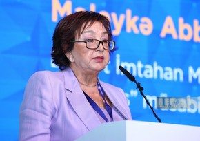 Малейка Аббасзаде: Азербайджан стремится сформировать сильную экономику знаний