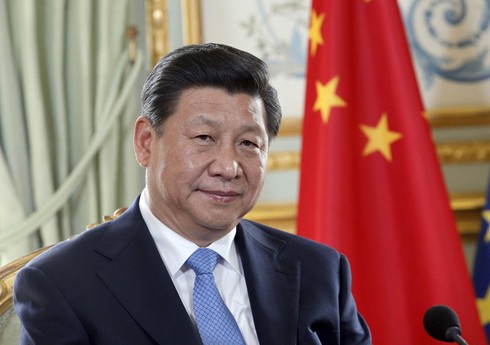 Си Цзиньпин: Китай поддерживает все усилия по мирному урегулированию кризиса на Украине