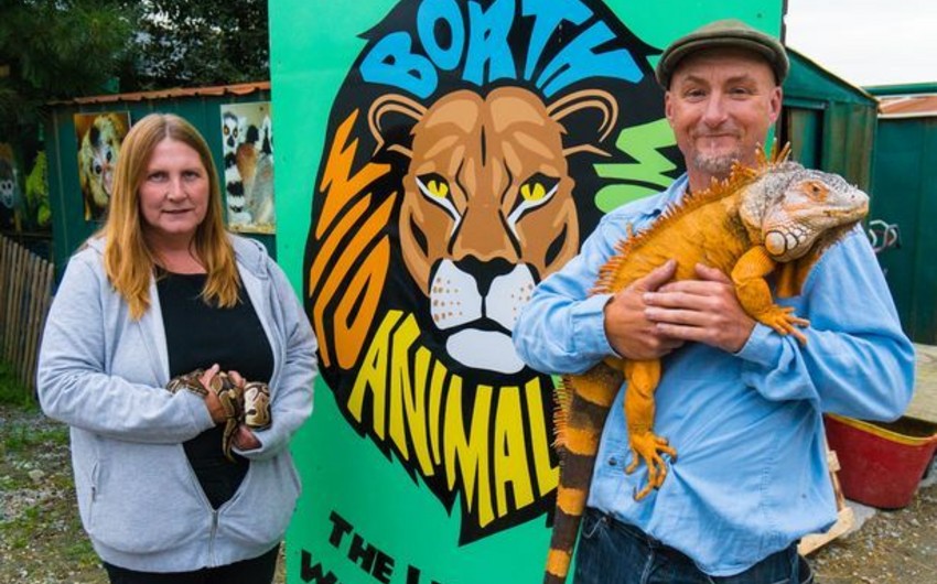 Владельцы зоопарка пригрозили убить животных в случае нехватки денег