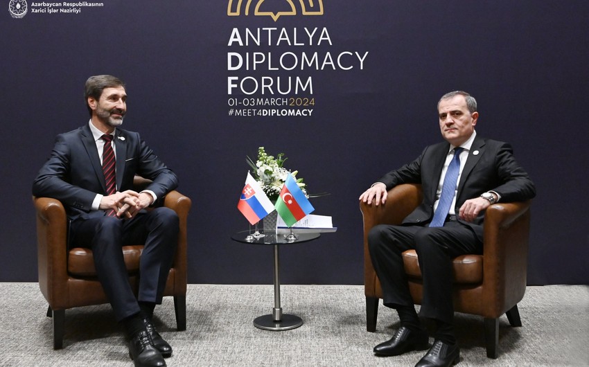 Azerbaijan, Slovakia discuss prospects of cooperation 