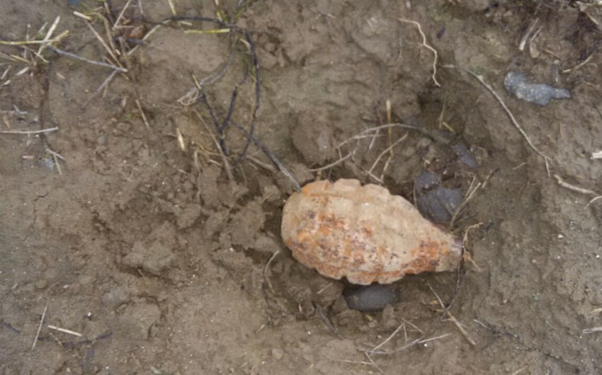 В Горанбое, на краю дороги обнаружена ручная граната