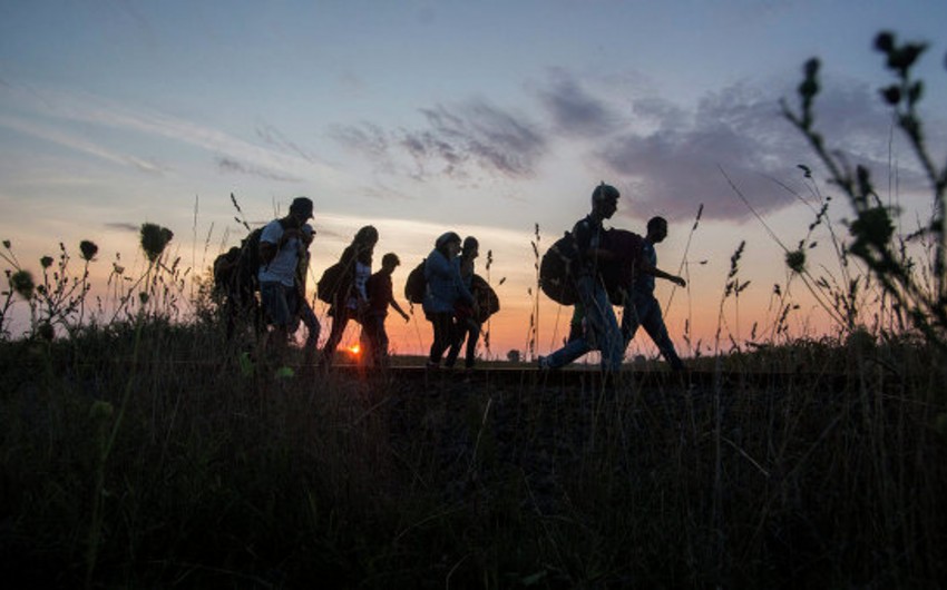 Венгрия завершила строительство забора на границе с Сербией