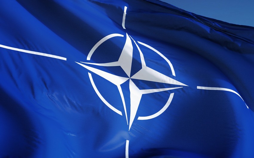 Media: Collapse of NATO is matter of time