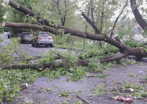 Hurricane Helene: More than 200 dead in US