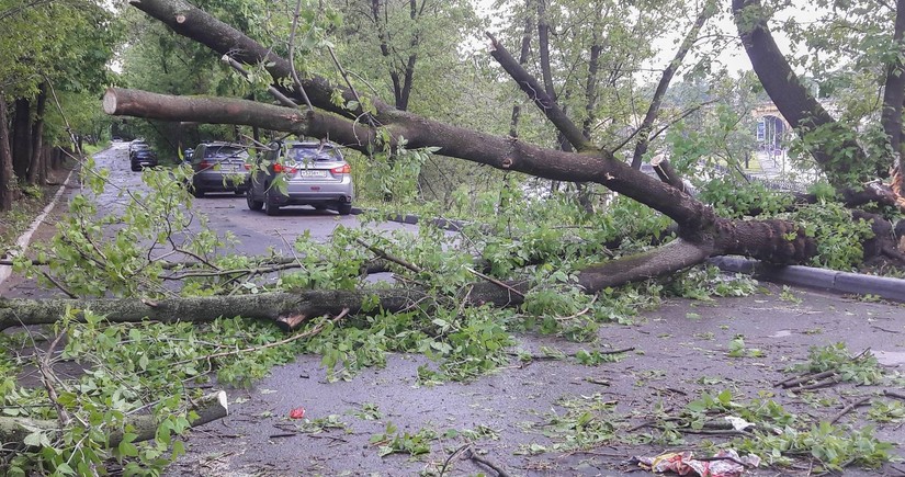 Hurricane Helene: More than 200 dead in US