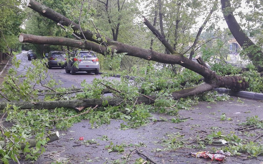 Hurricane Helene: More than 200 dead in US