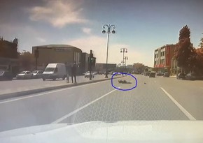 В УГДП прокомментировали распространившиеся в соцсетях кадры наезда на пешехода 