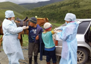 Reason for increase in plague deaths in Mongolia revealed