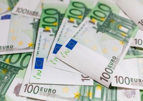 Moldova baza valyutasını dollardan avroya dəyişəcək