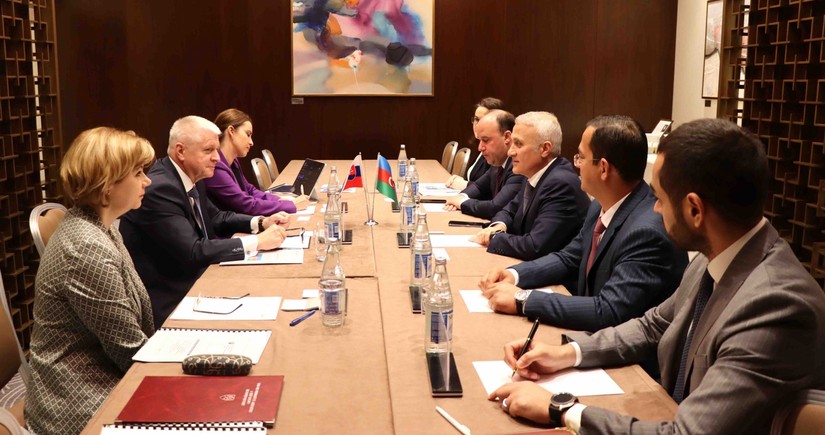 Azerbaijan to implement joint project on standardization with Slovakia