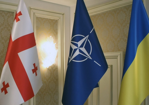 США назвал условия для вступления Украины и Грузии в НАТО