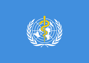 WHO member states make decision on preventing pandemic