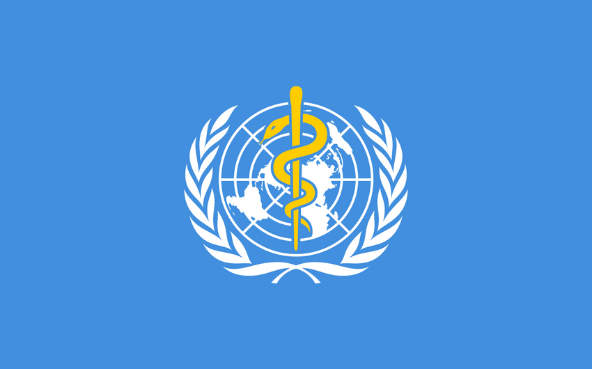 WHO member states make decision on preventing pandemic