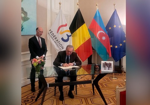 Посол Азербайджана встретился с главой парламента Валлоно-Брюссельской федерации Бельгии