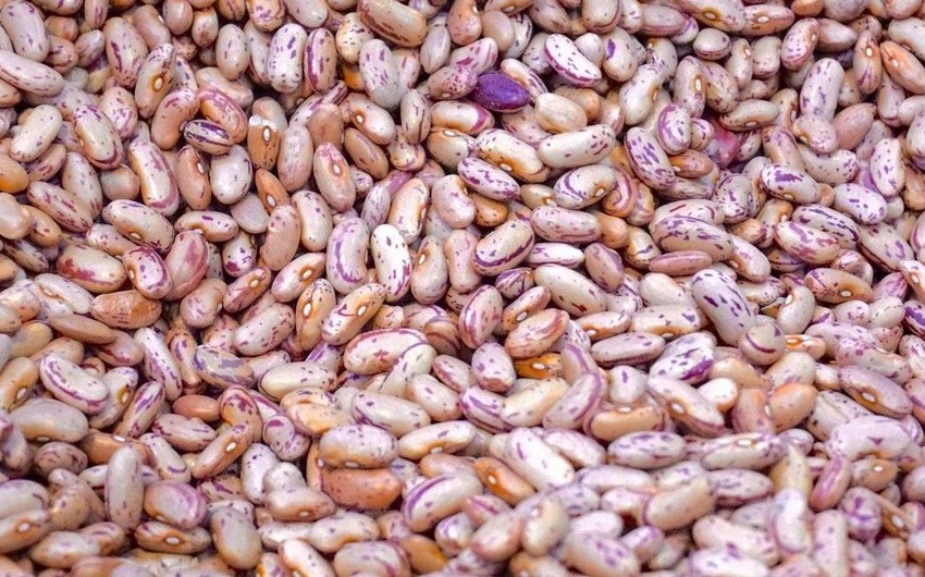 Azerbaijan’s bean imports from Madagascar soar