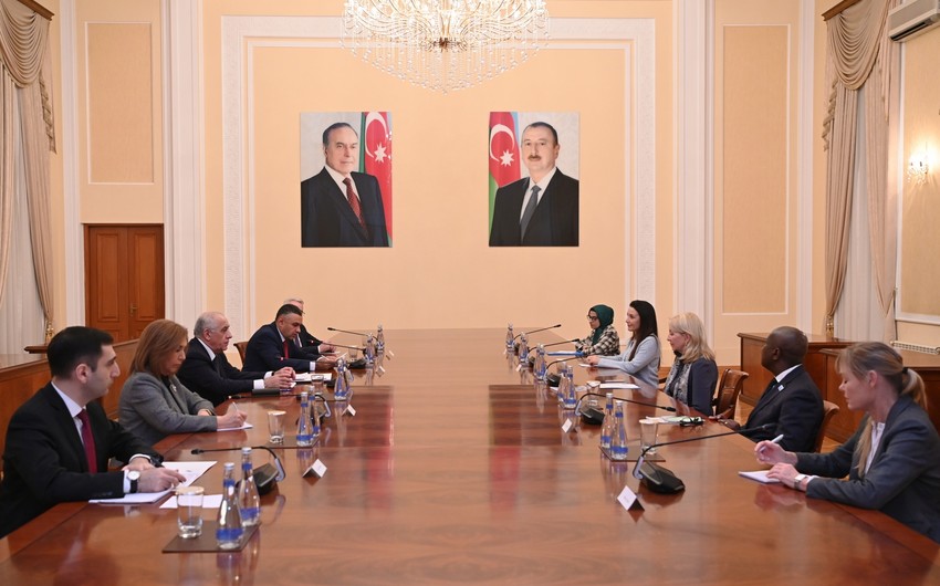 Prime Minister Ali Asadov meets with UNICEF Executive Director