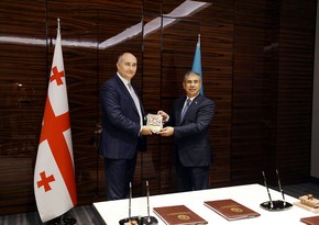 Azerbaijani, Georgian defense ministers discuss regional security issues 