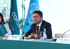 Yalchin Rafiyev: Creation of Climate Finance Action Fund is one initiatives