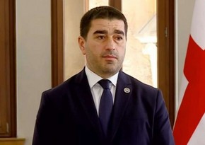 Спикер парламента Грузии отказал во встрече делегации парламентов шести стран ЕС