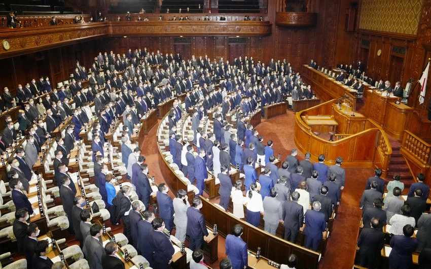 Парламент и правительство