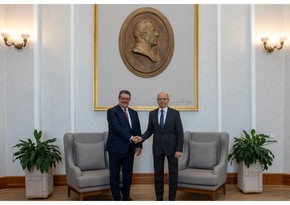 Azerbaijan's energy minister meets with Secretary General of Gas Exporting Countries Forum