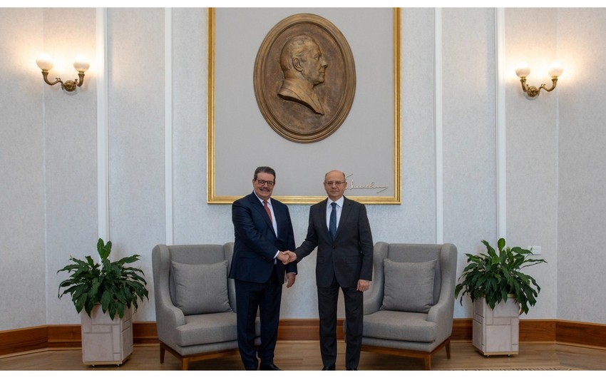 Azerbaijan's energy minister meets with Secretary General of Gas Exporting Countries Forum