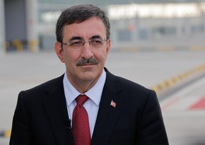 Türkiye stands for diplomatic resolution of international issues, vice president says