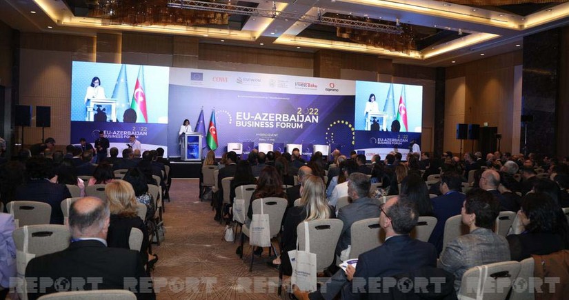 Отчет: 14% компаний стран ЕС готовы готовы инвестировать в освобожденные земли Азербайджана
