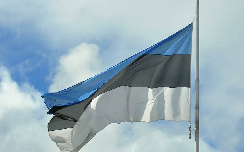 Эстония ведёт с США переговоры о возможном присоединении к коалиции против ИГИЛ