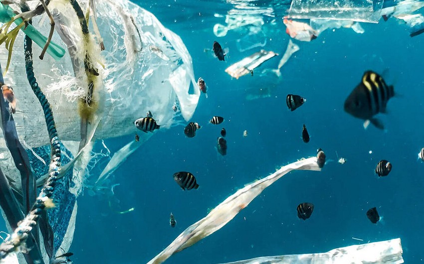Ученые придумали микророботов для очистки вод от пластикового мусора