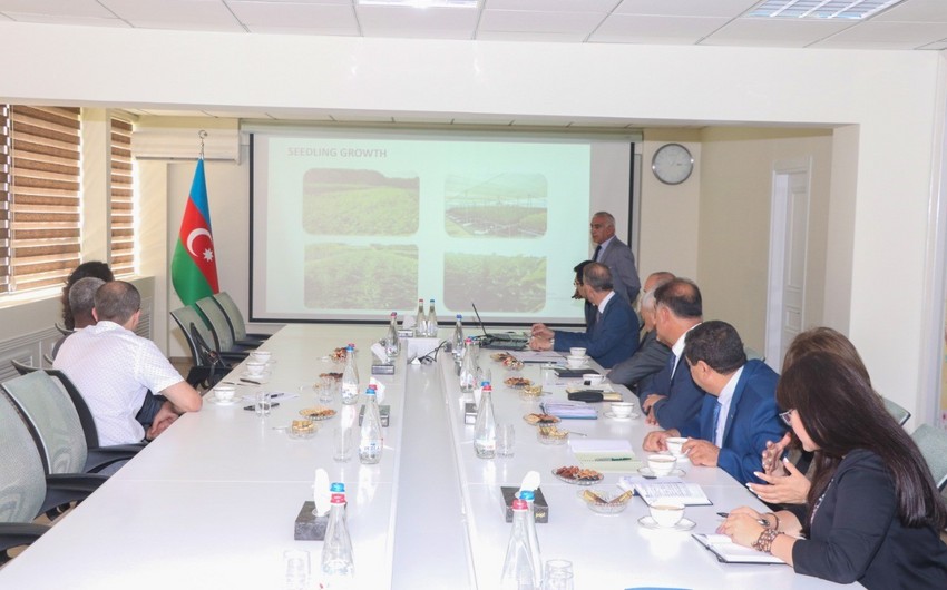 Официальный представитель ООН: В Азербайджане ощущается дефицит воды