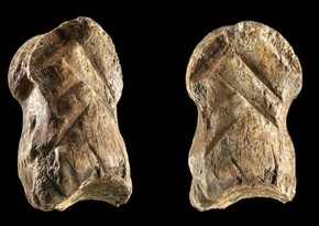 World's oldest ornament discovered in Germany
