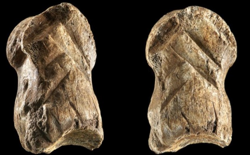 World's oldest ornament discovered in Germany
