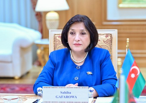 Спикер: Сотрудничество парламентских комитетов Азербайджана и Туркменистана внесет вклад в развитие отношений