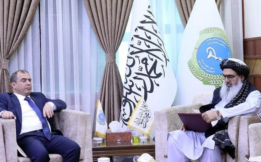 Azerbaijani ambassador, Afghan health minister mull joint cooperation