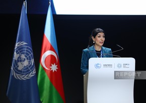 Nigar Arpadarai: Private sector actively participating in COP29