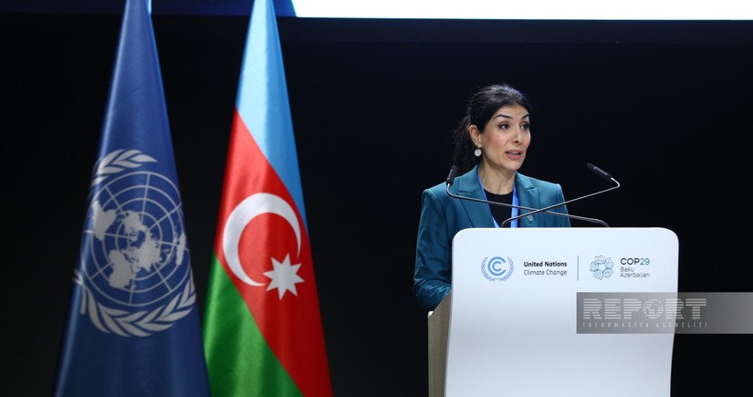 Nigar Arpadarai: COP29-da özəl sektor fəal şəkildə iştirak edir