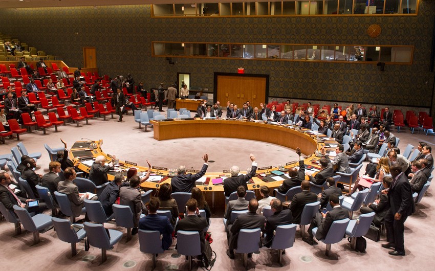 Совет Безопасности ООН создал контрольный механизм для инспекций гуманитарных грузов в Сирию
