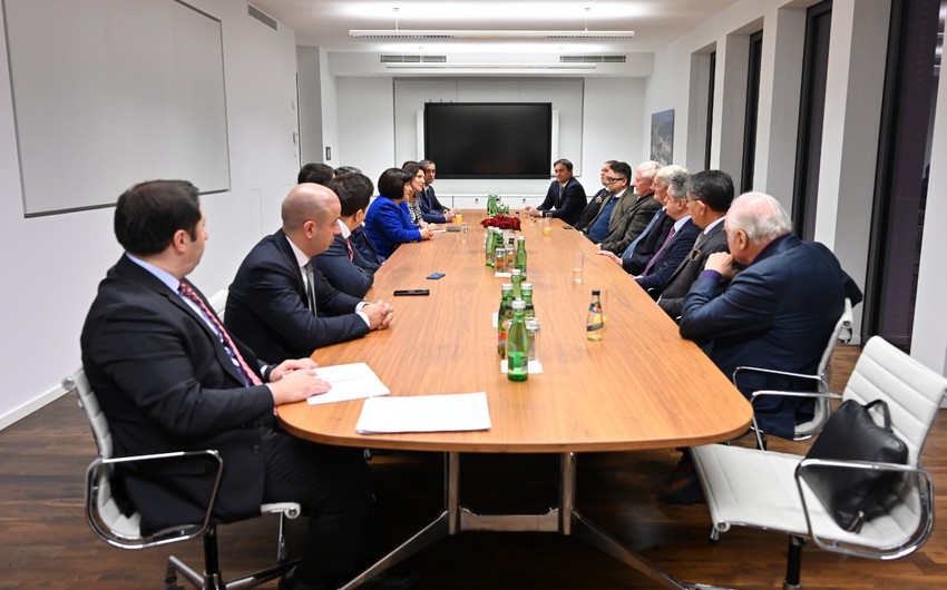 Председатель Милли Меджлиса встретилась с членами азербайджано-германского форума