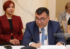 Deputy minister: Azerbaijan demonstrating adequate approach to global economic challenges