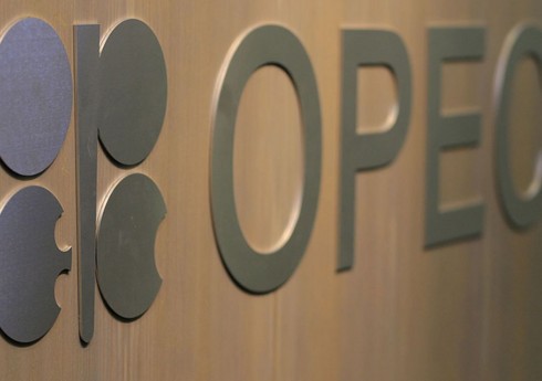 ОАЭ выступили за рост добычи нефти ОПЕК+