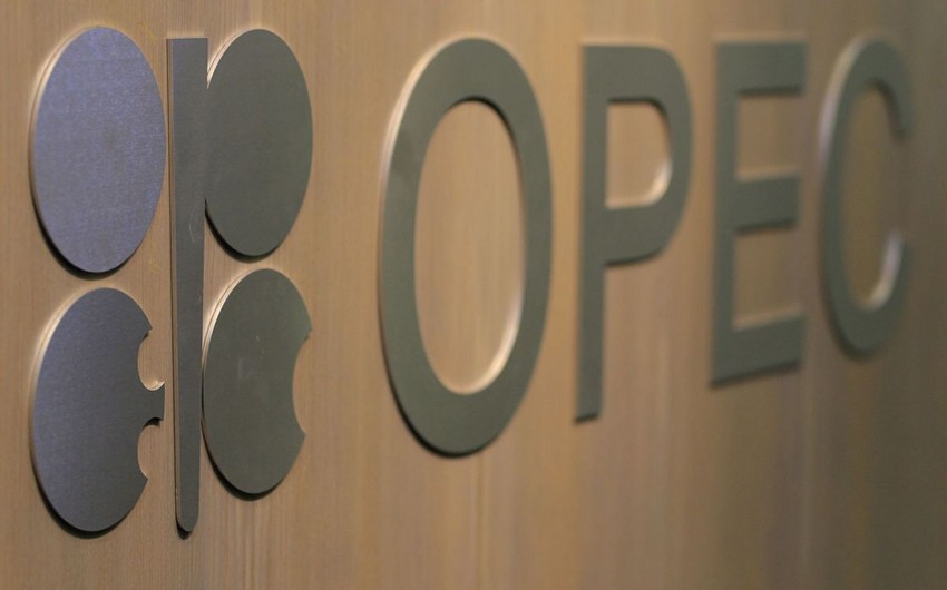 OPEC announces its forecast for oil production in Azerbaijan