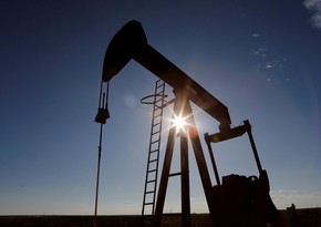 МЭА ожидает роста мировой добычи нефти