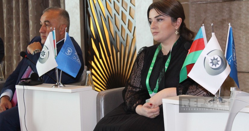 Nakhchivan Ombudsperson: Climate change - serious human rights problem