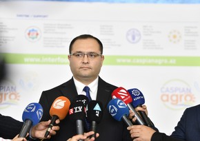 Minister: Agrarian reforms strengthen agricultural development in Azerbaijan