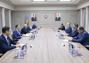 Azerbaijani PM meets with labor minister of Türkiye