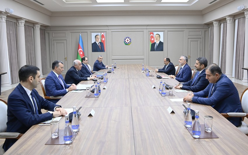 Azerbaijani PM meets with labor minister of Türkiye