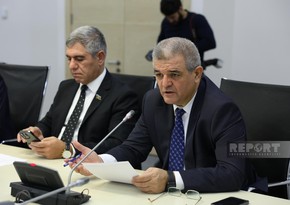 Azerbaijani MP: Insurance mechanisms should be established for people suffering from mine terror