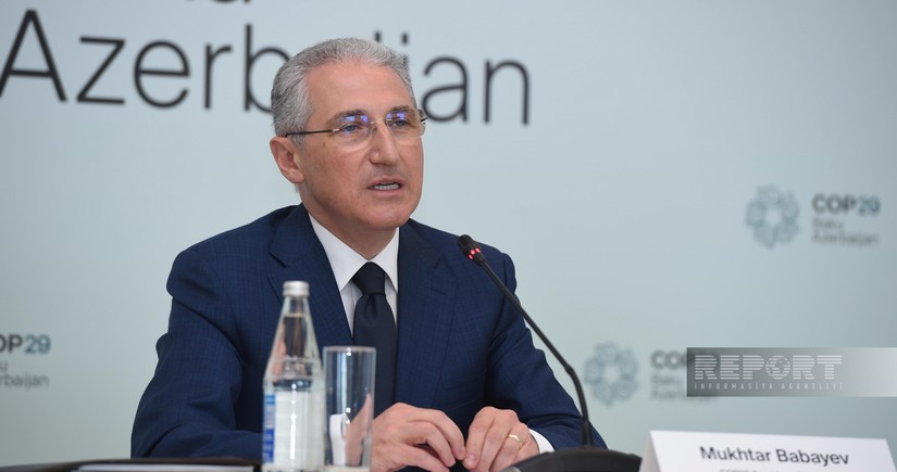 Azerbaijan and UNEP to implement joint projects on environmental protection